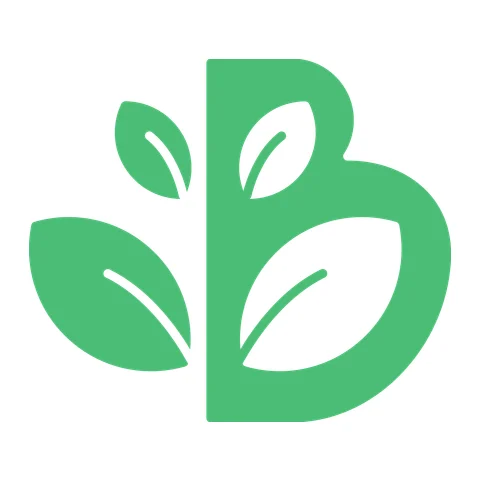The Beech Academy provider image