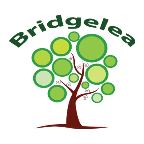 Bridgelea Pupil Referral Unit provider image