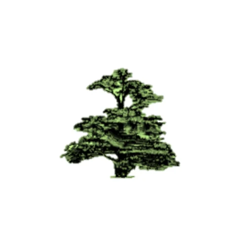 Cedars - Newcastle, Moorlands and Darwin Bases provider image