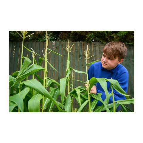 Fernways School provider image