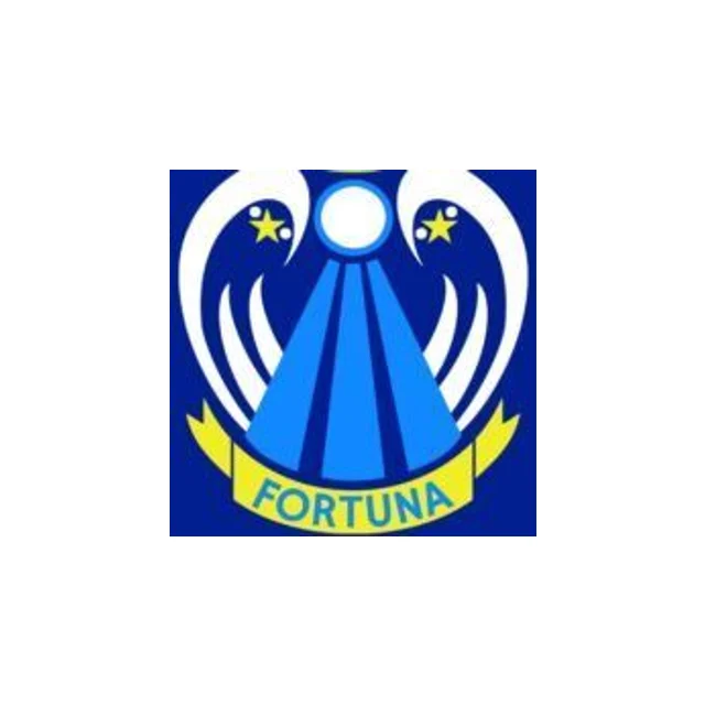 Fortuna School provider image