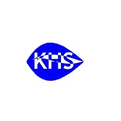 Kingswode Hoe School provider image