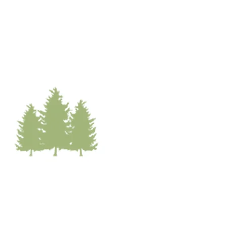Larches High School provider image