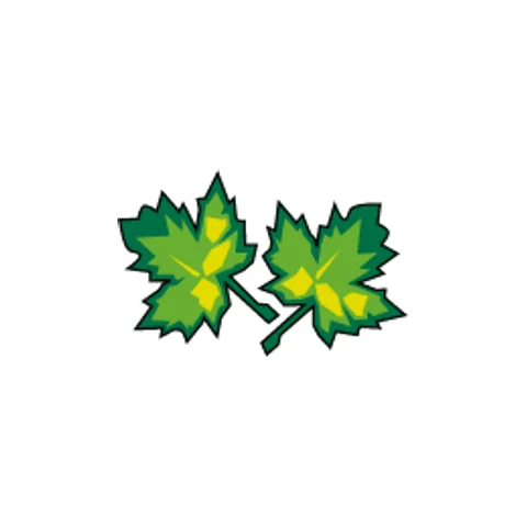 Mapledown School provider image