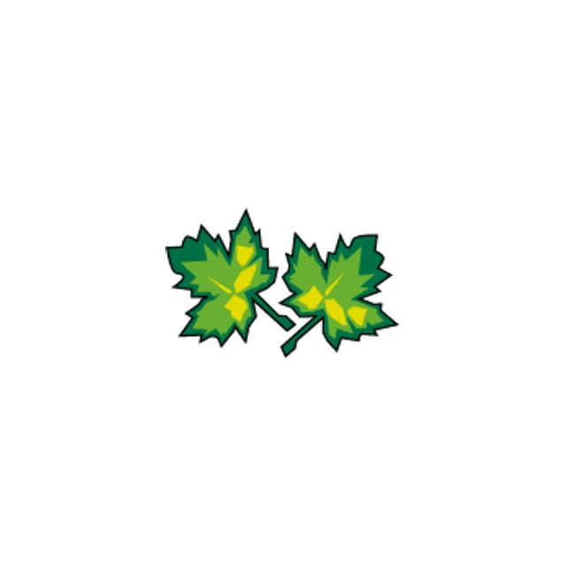 Mapledown School provider image