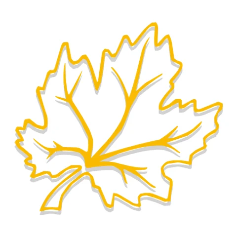 Maplefields Academy provider image