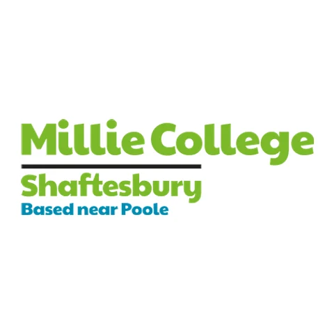 Millie College provider image