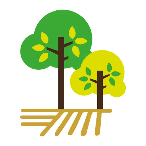 Mowbray Academy provider image