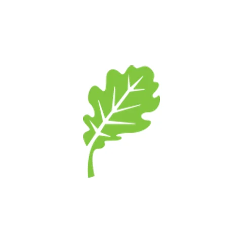 Oaktree School provider image