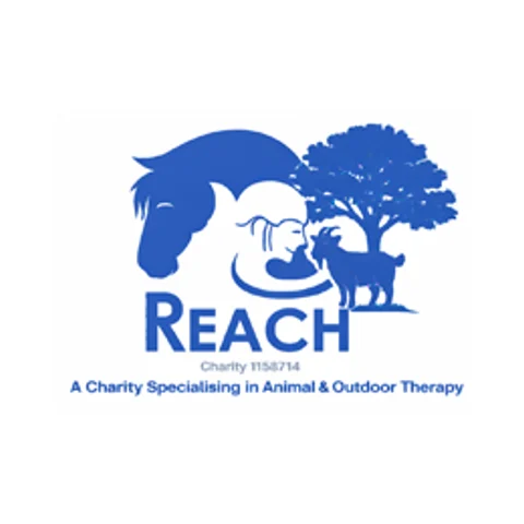 Reach Equine provider image