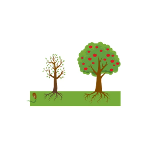 Rise College provider image