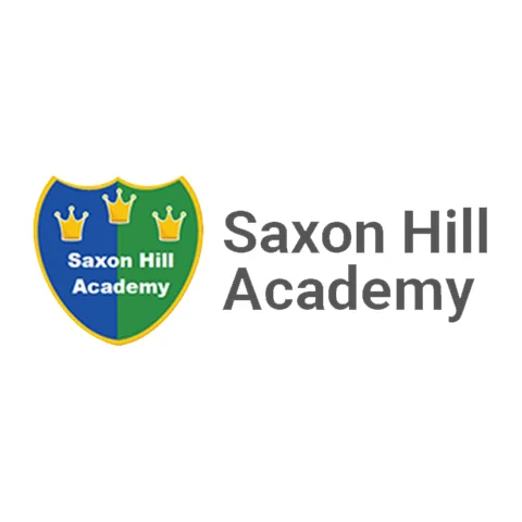 Saxon Hill Academy provider image