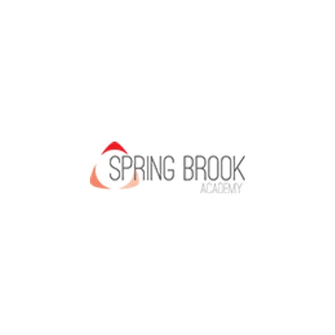 Spring Brook Academy provider image