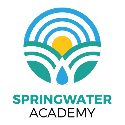 Springwater Academy provider image