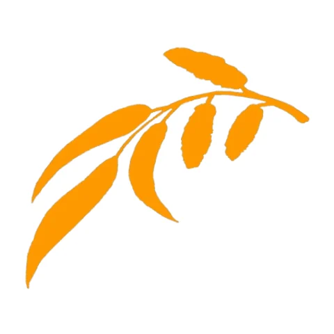The Willows School provider image