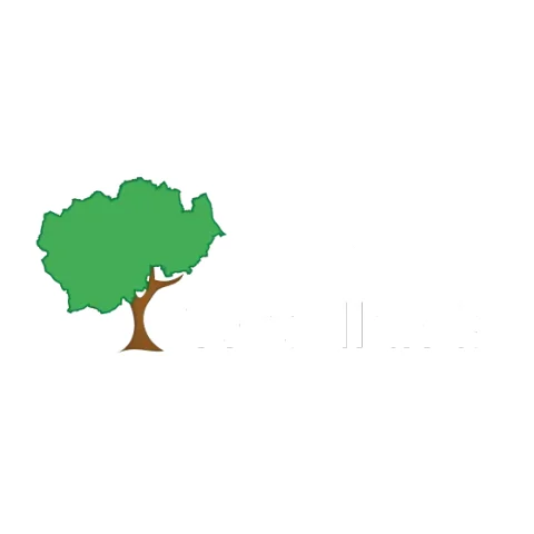 The Woodlands provider image